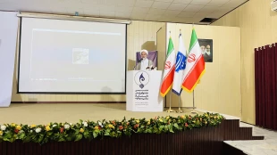 جشنواره رویش 7