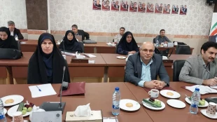 برگزاری پنل های تخصصی در دومین روز نشست معاونان آموزشی واحدهای استانی دانشگاه ملی مهارت 6