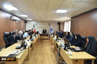 چهارمین جلسه کمیته تخصصی گسترش آموزش عالی دانشگاه ملی مهارت برگزار شد