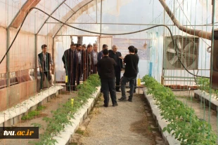 با حضور معاون آموزشی دانشگاه برگزار شد

اقتتاح کلینیک تخصصی گیاه پزشکی و کلنگ زنی ساخت سوله کارگاه ماشین آلات کشاورزی آموزشکده کشاورزی پاکدشت 
 2