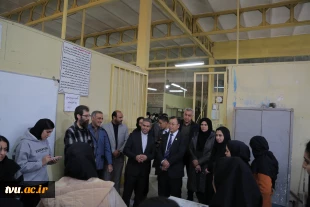 بازدید رئیس کارگروه توسعه مهارت، فناوری‌های کاربردی و نوآوری بریکس از دانشکده ملی‌مهارت دختران دکتر شریعتی 3