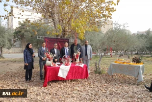 بازدید رئیس کارگروه توسعه مهارت، فناوری‌های کاربردی و نوآوری بریکس از دانشکده ملی‌مهارت دختران دکتر شریعتی 14