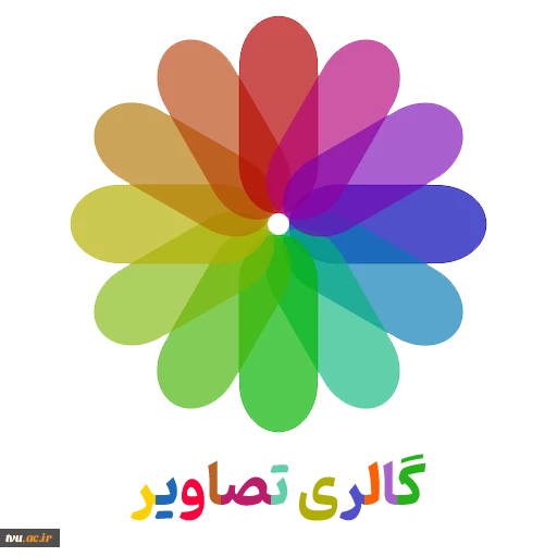 گالری تصاویر