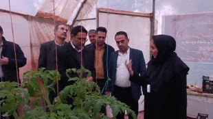 برگزاری آیین گرامیداشت روز دانشجو و هفته پژوهش با حضور معاون فرهنگی و دانشجویی دانشگاه ملی مهارت در آموزشکده پاکدشت 3