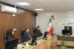 با حضور رئیس دانشگاه ملی مهارت برگزار شد؛
پنجمین نشست شورای ورزش دانشگاه ملی مهارت در سال ۱۴۰۴ 4