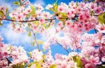 تبریک نوروز باستانی و عید سعید فطر 2