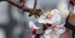 تبریک نوروز باستانی و عید سعید فطر 2