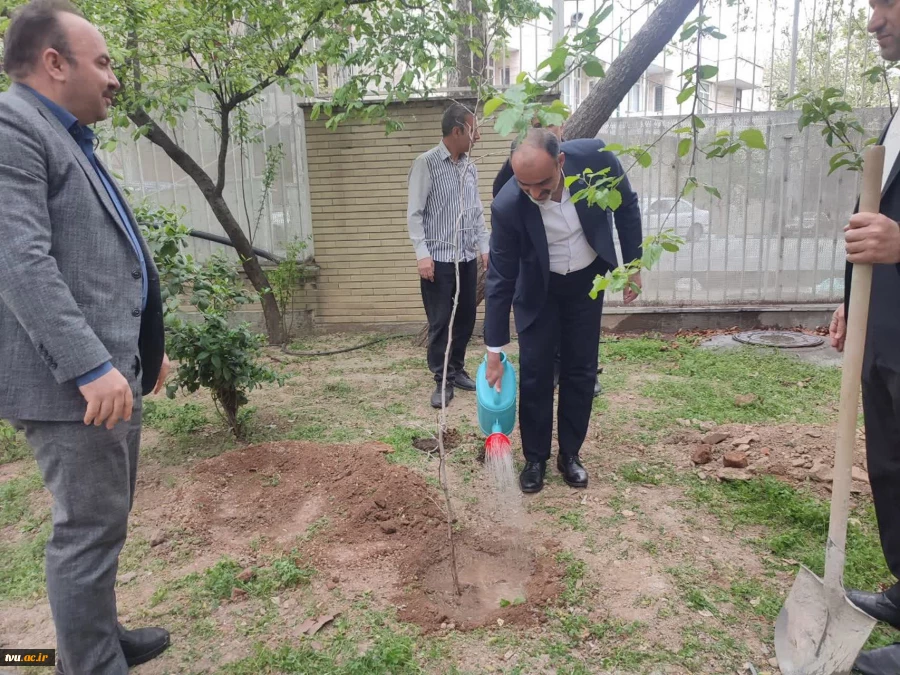 هیئت رئیسه دانشگاه ملی مهارت به پویش«غرس نهال امید» پیوستند 2