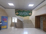 نتنا 2