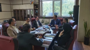 نشست مشترک معاون اداری، مالی و مدیریت منابع دانشگاه ملی مهارت با هیئت رئیسه شعبه آزادی بیمه ایران  2