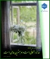 فرهنگی