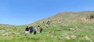 صعود به قله‌های تندرستی و همدلی؛ پیمایش کارکنان دانشگاه ملی مهارت در رینه لاریجان 6