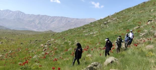صعود به قله‌های تندرستی و همدلی؛ پیمایش کارکنان دانشگاه ملی مهارت در رینه لاریجان 7