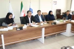 نشست تخصصی ساختار سازمانی و بررسی مسائل اداری دانشگاه ملی مهارت استان فارس برگزار شد 10