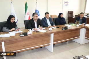 نشست تخصصی ساختار سازمانی و بررسی مسائل اداری دانشگاه ملی مهارت استان فارس برگزار شد 10