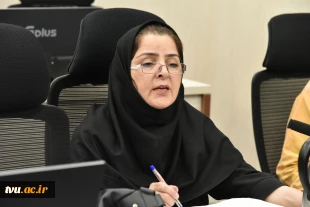 چهارمین نشست هم‌اندیشی اعضای کمیته توانمندسازی قاره آفریقا برگزار شد 21