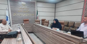برگزاری نشست تخصصی بررسی و جانمایی ساختار جدید واحد استانی خوزستان